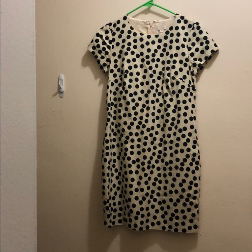 J Crew Polka Dot Dress